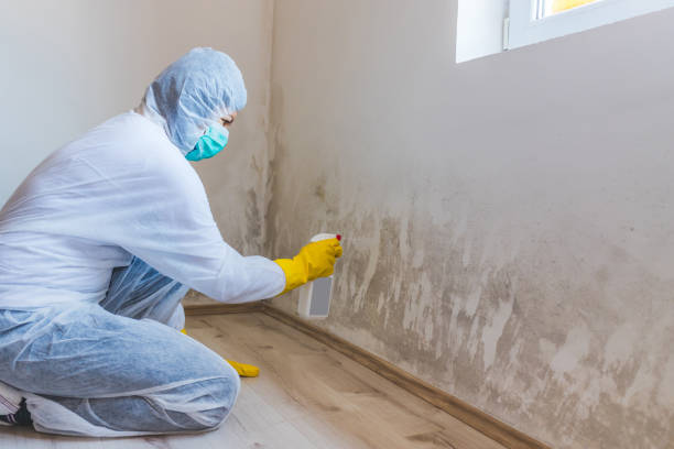 Licensed Commercial Mold Remediation service in Berthoud, CO - WQB Mold Removal