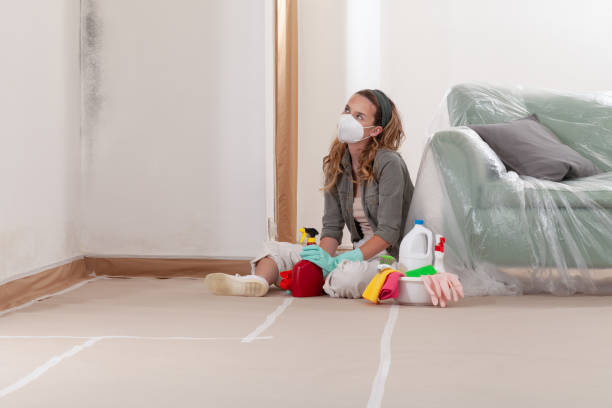 Reliable Commercial Mold Remediation contractor in Berthoud, CO by WQB Mold Removal